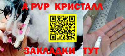 шишки Тверь