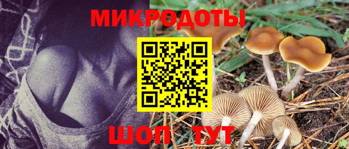 Псилоцибиновые грибы GOLDEN TEACHER Орск