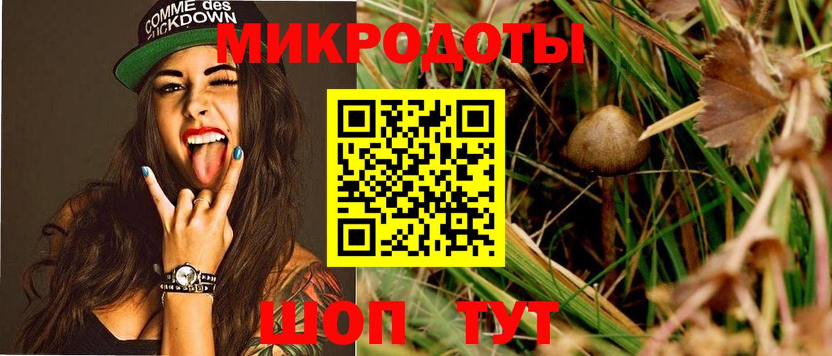 Псилоцибиновые грибы мицелий  Вход с VPN  где продают   Галлюциногенные грибы Psilocybine cubensis  Орск 